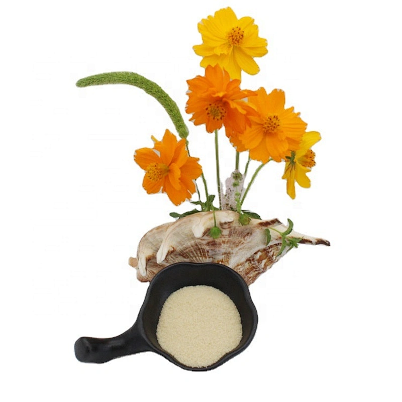 Wholesale Halal Edible Gelatin Powder From Bovine Skin for Gummies 180 Bloom